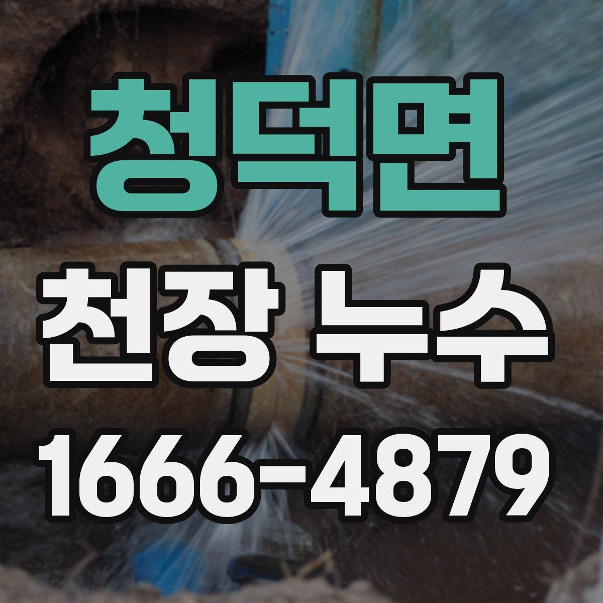 청덕면 천장 누수
