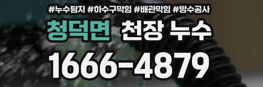 청덕면 천장 누수