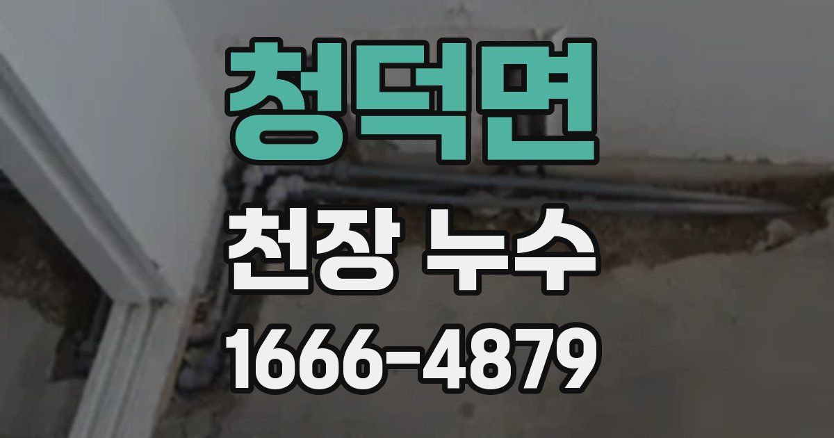 청덕면 천장 누수