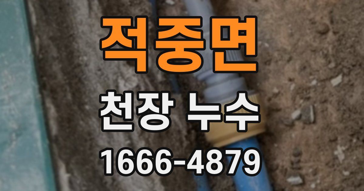 적중면 천장 누수