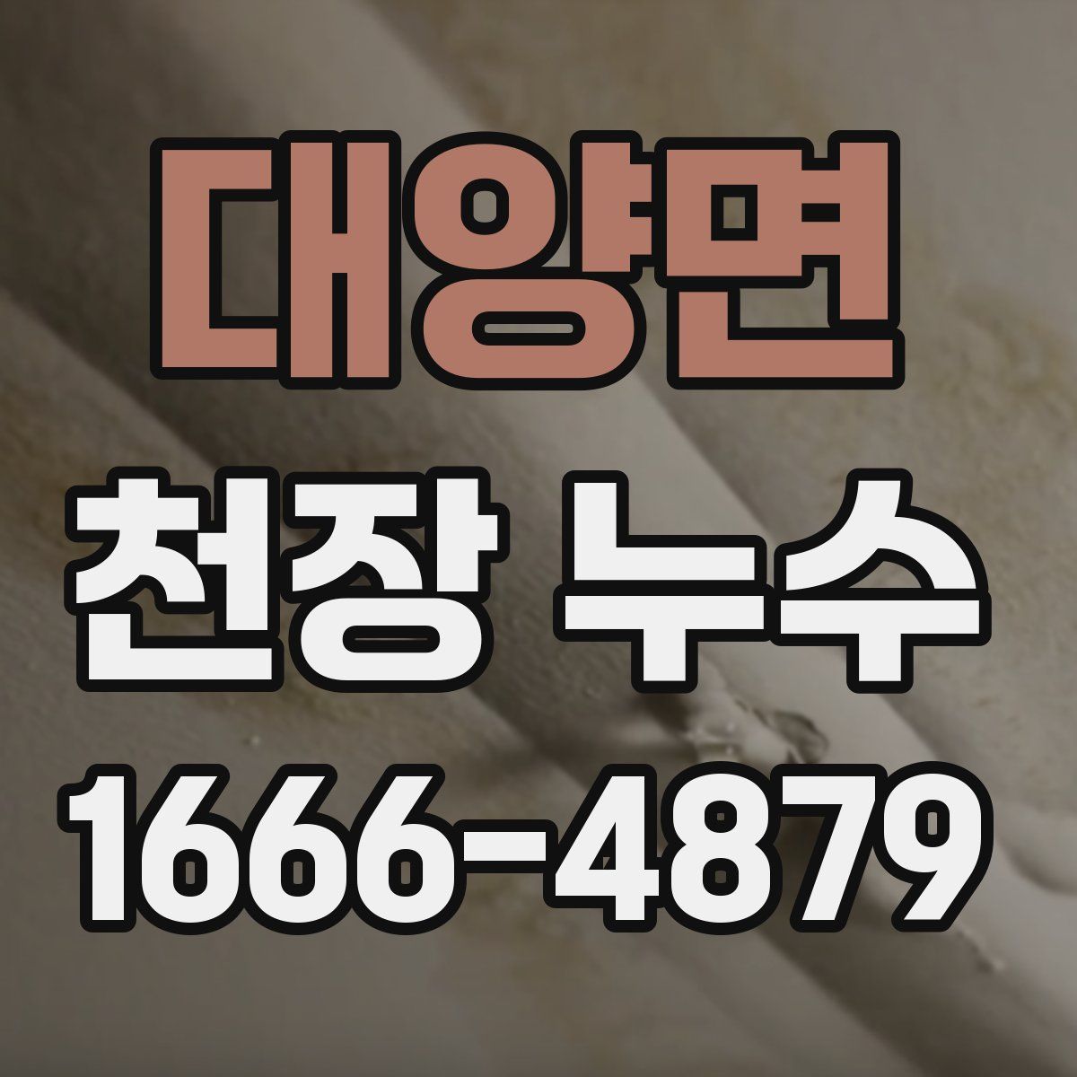 대양면 천장 누수