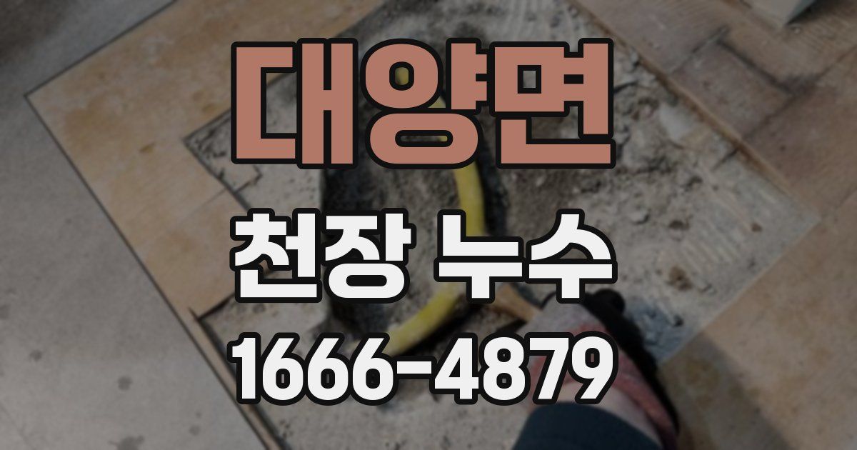 대양면 천장 누수
