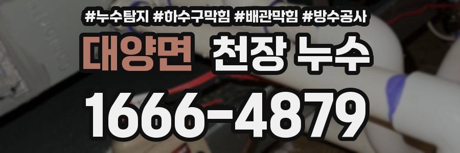 대양면 천장 누수
