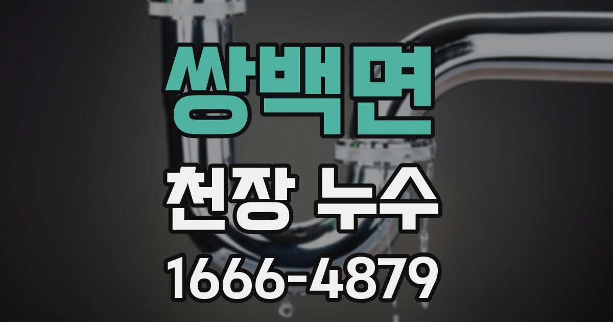 쌍백면 천장 누수