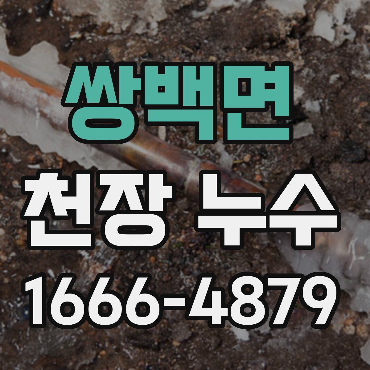 쌍백면 천장 누수