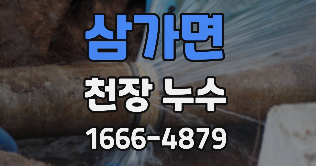 삼가면 천장 누수