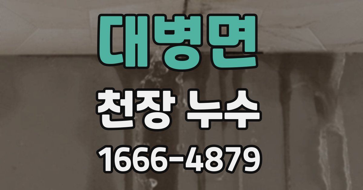 대병면 천장 누수