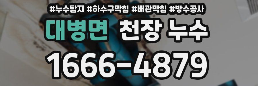 대병면 천장 누수