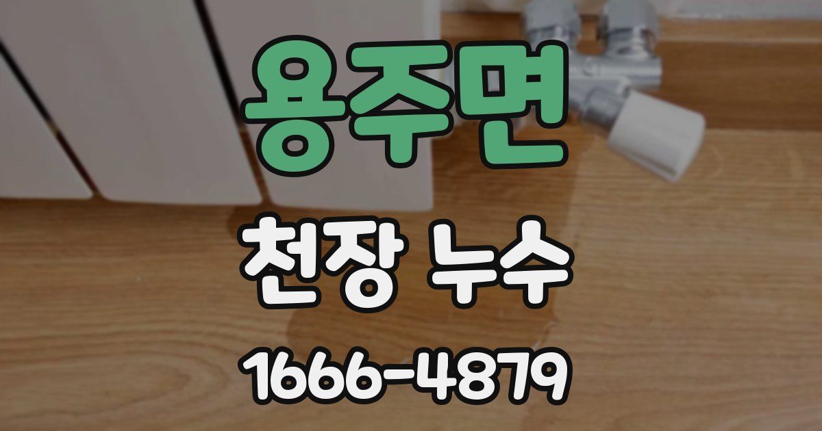 용주면 천장 누수