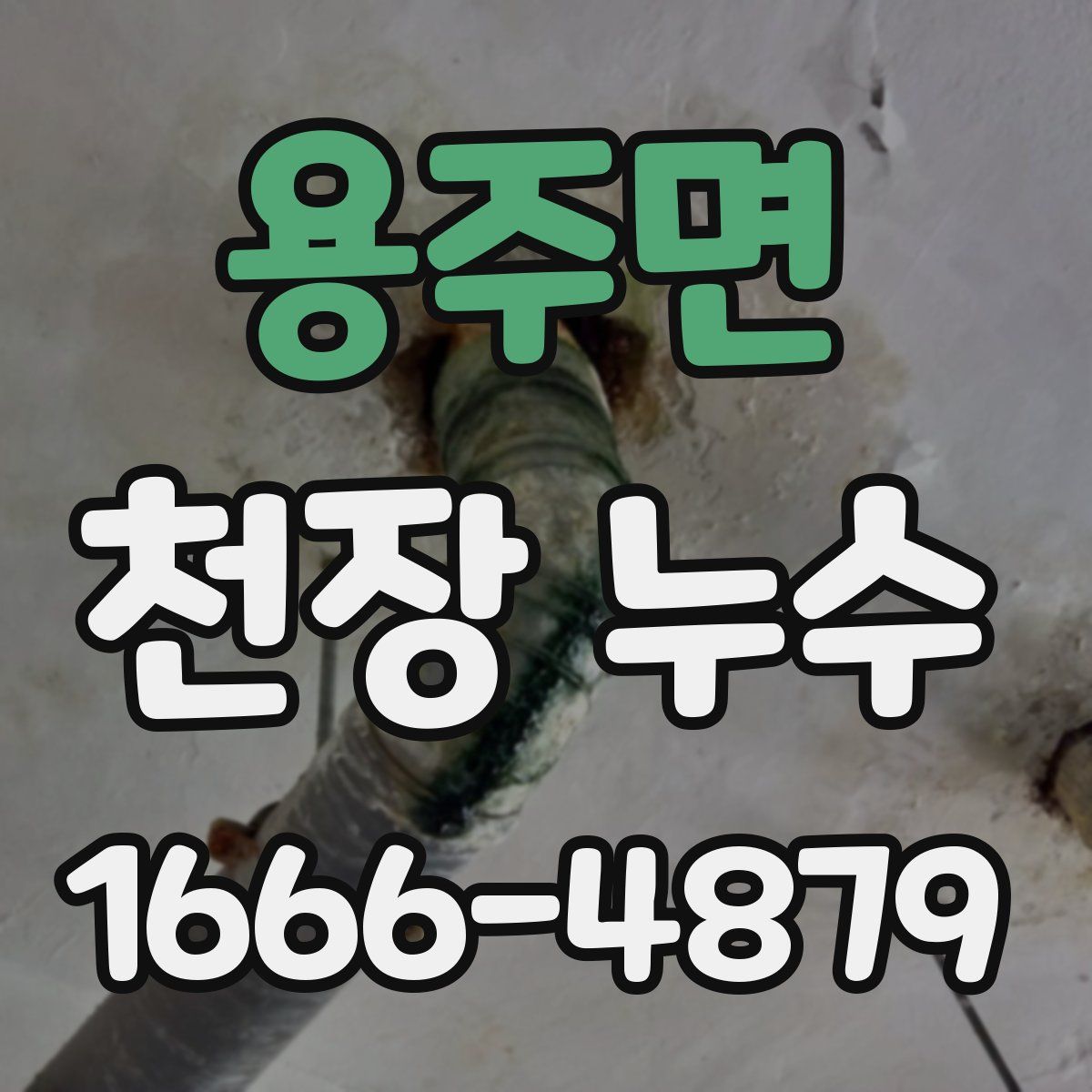 용주면 천장 누수
