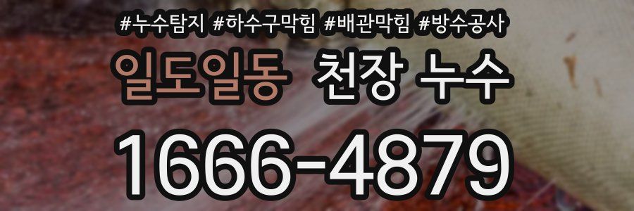 일도일동 천장 누수