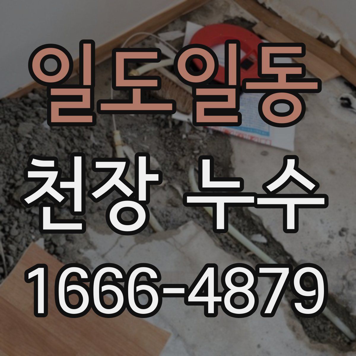 일도일동 천장 누수
