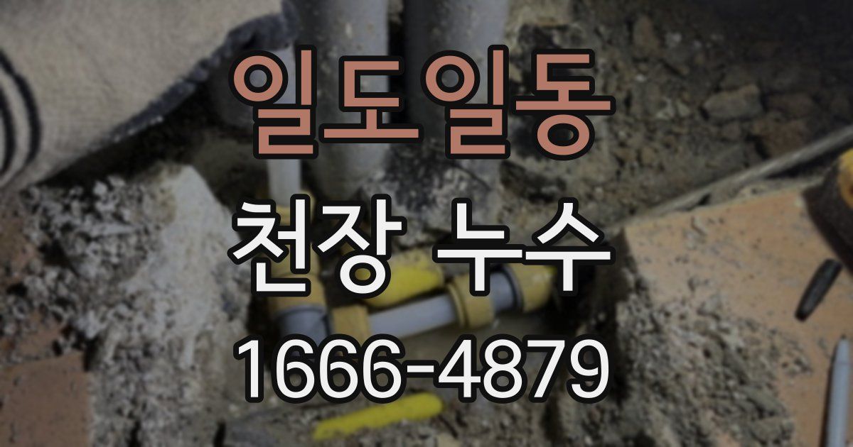 일도일동 천장 누수
