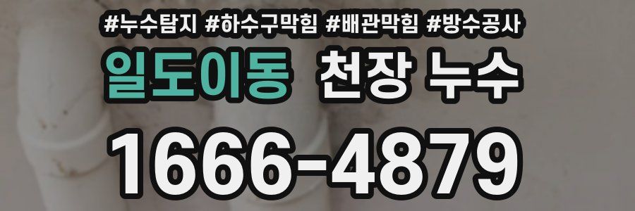 일도이동 천장 누수