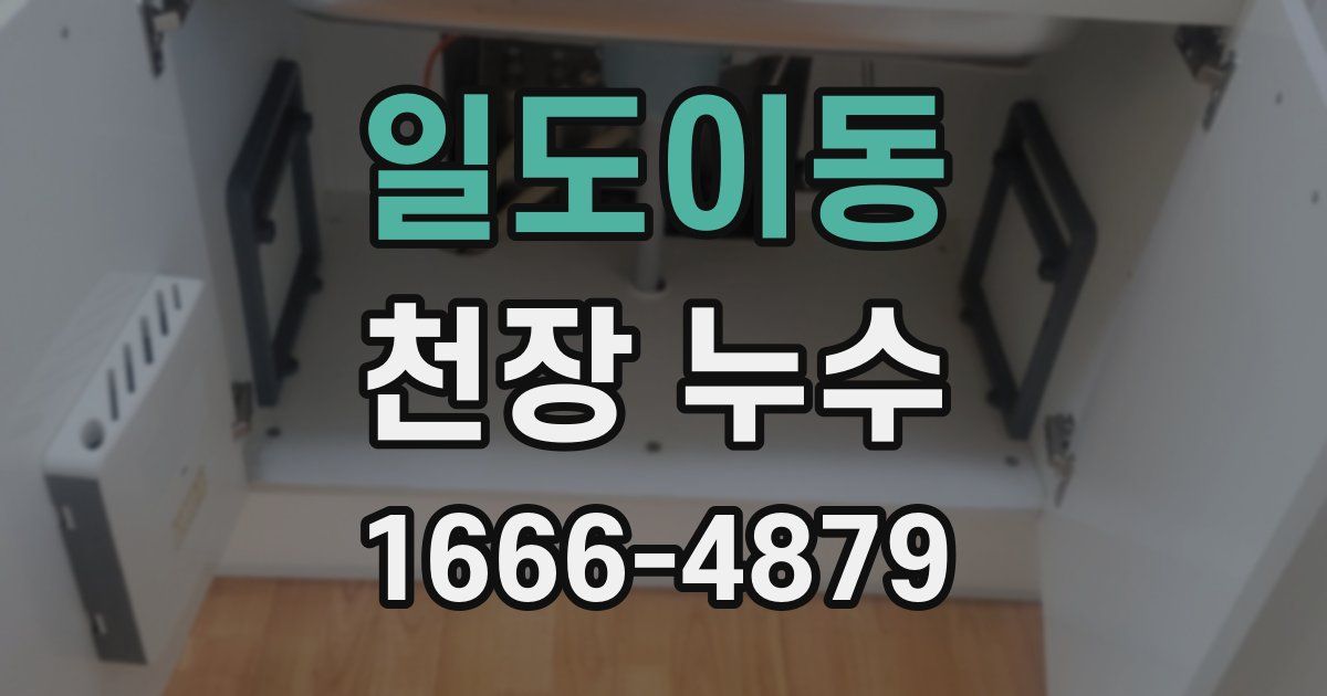 일도이동 천장 누수