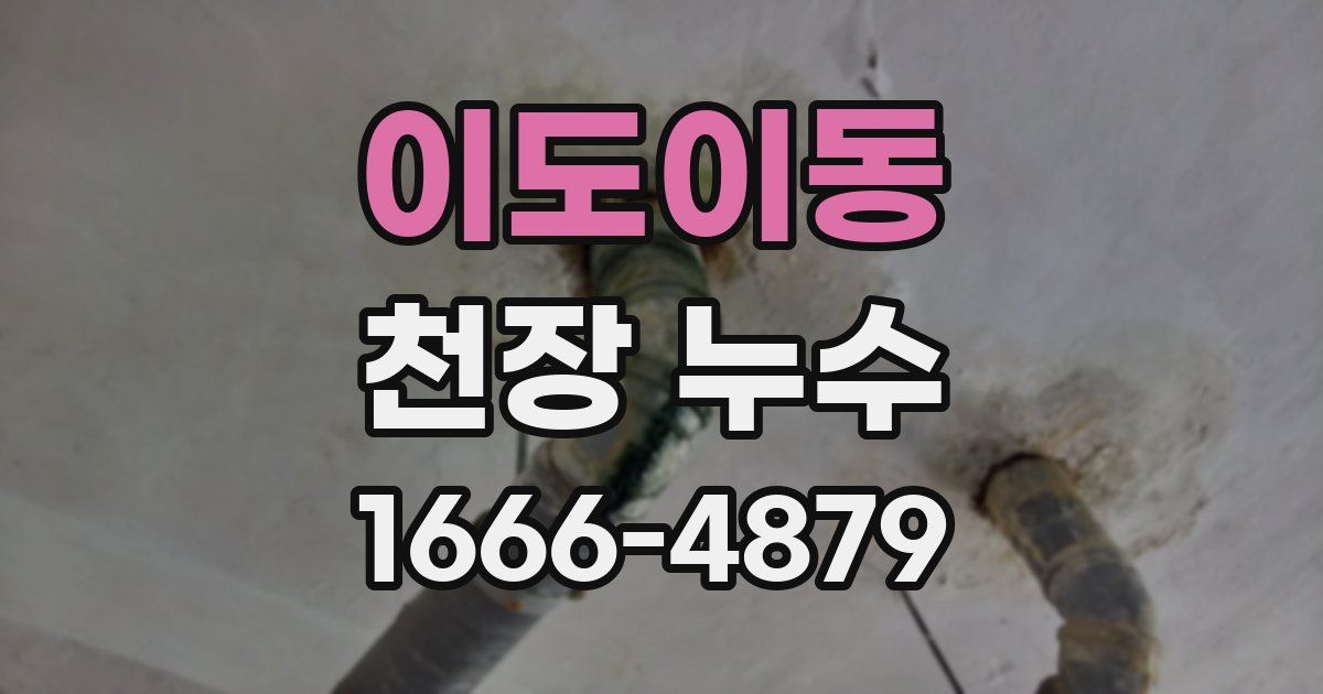 이도이동 천장 누수