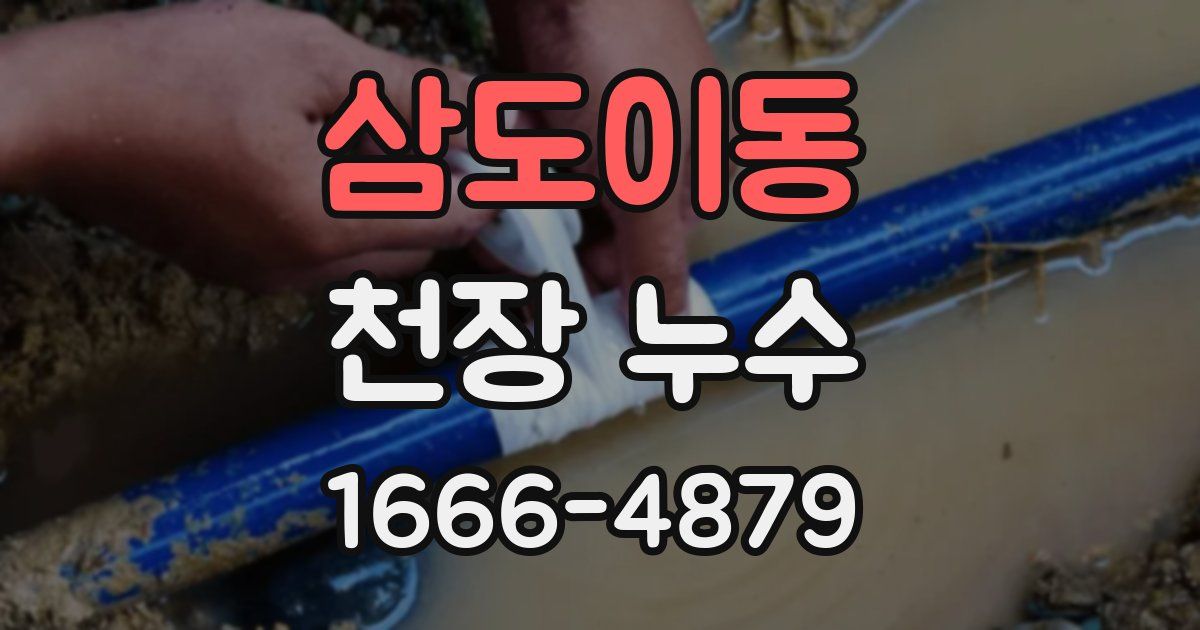 삼도이동 천장 누수