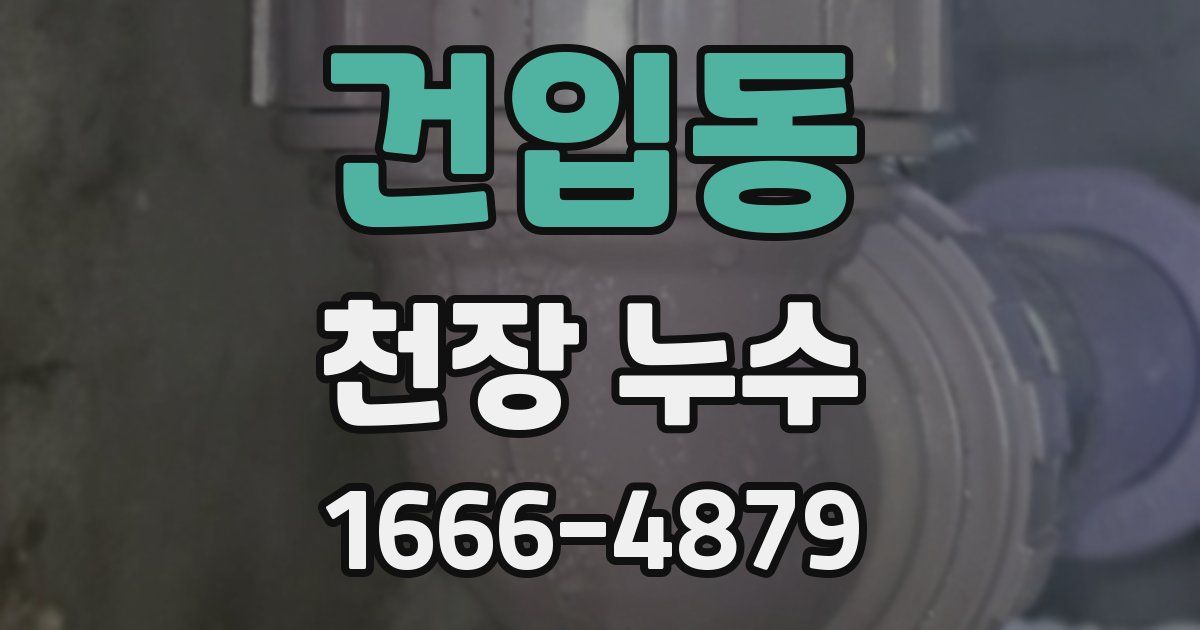 건입동 천장 누수