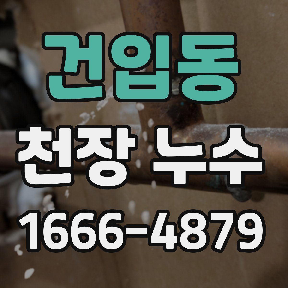 건입동 천장 누수