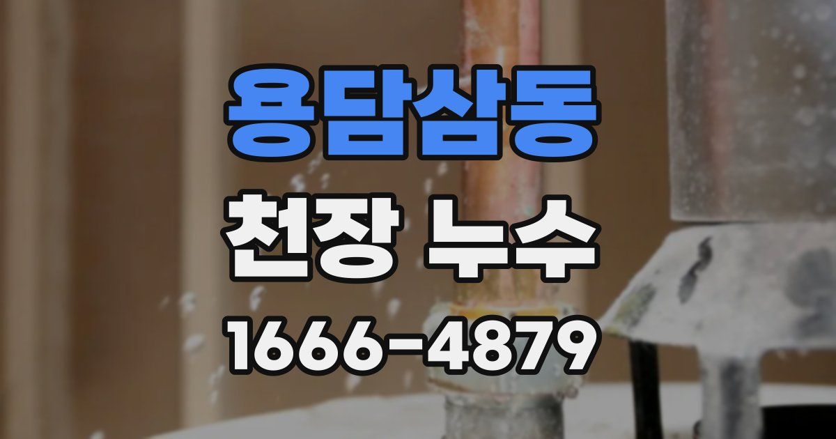 용담삼동 천장 누수