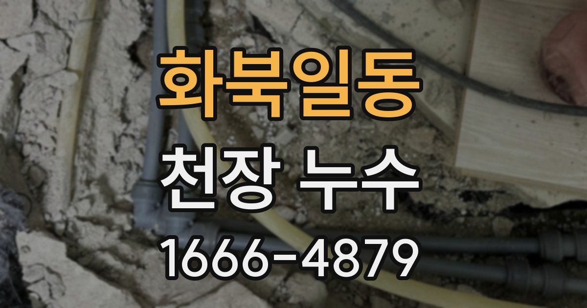 화북일동 천장 누수