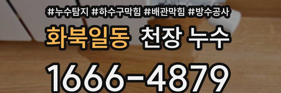 화북일동 천장 누수