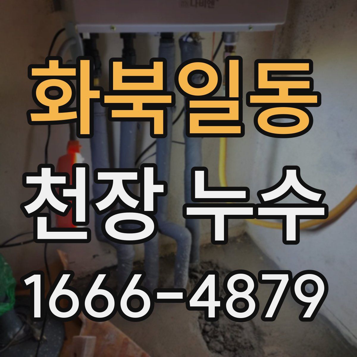 화북일동 천장 누수