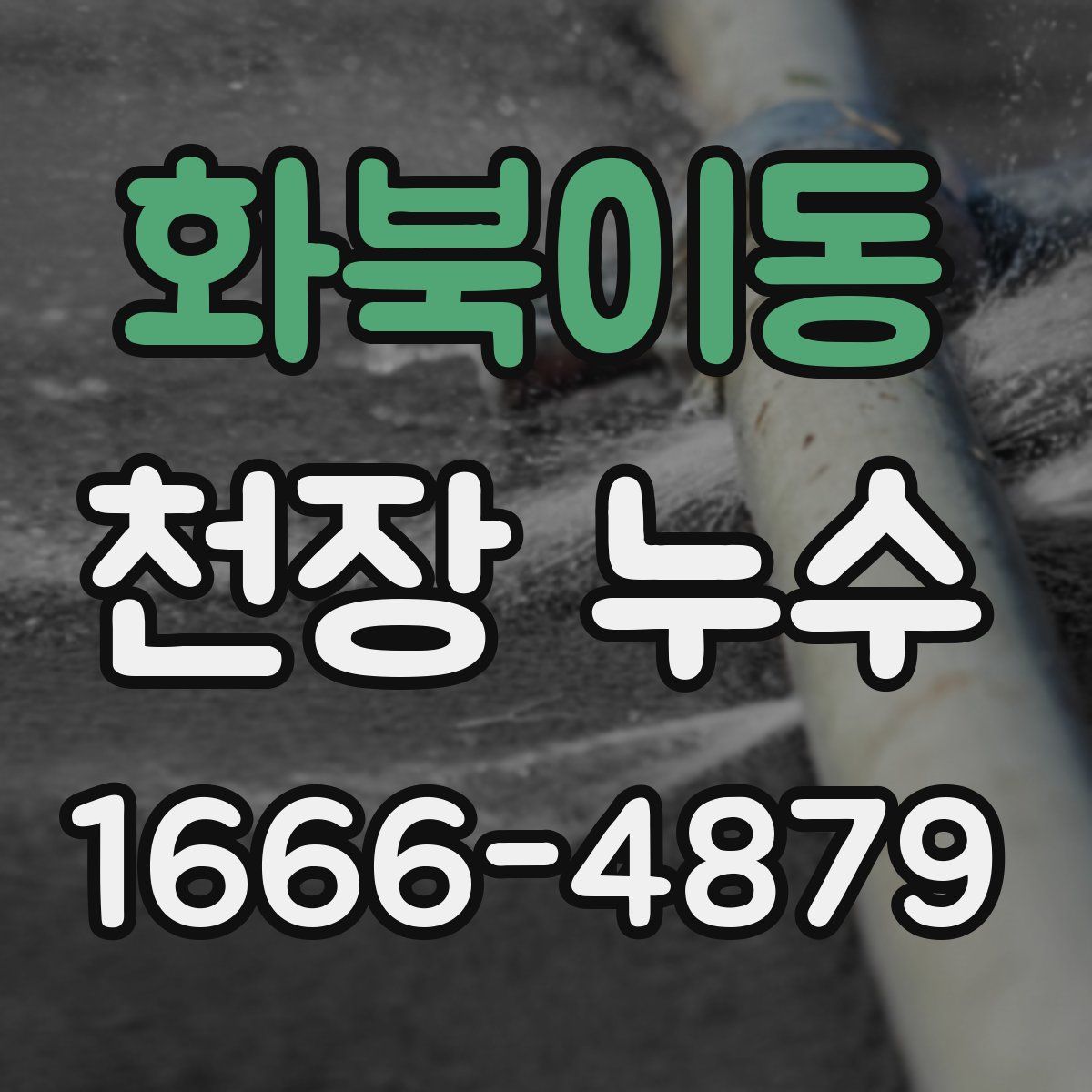 화북이동 천장 누수