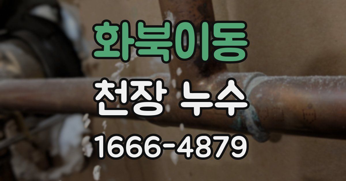 화북이동 천장 누수