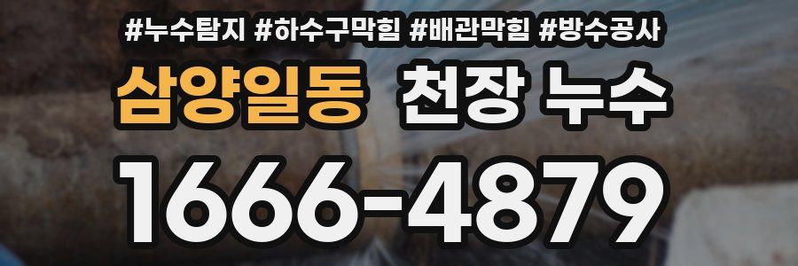 삼양일동 천장 누수