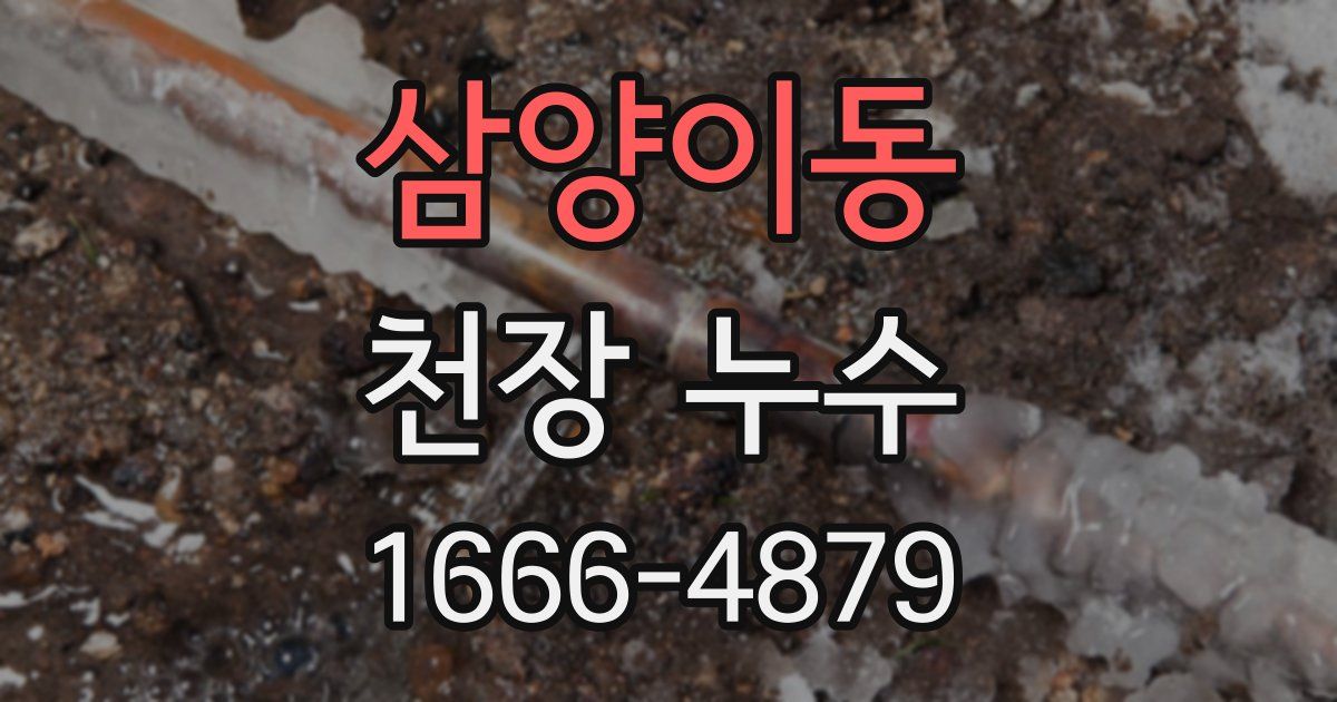 삼양이동 천장 누수