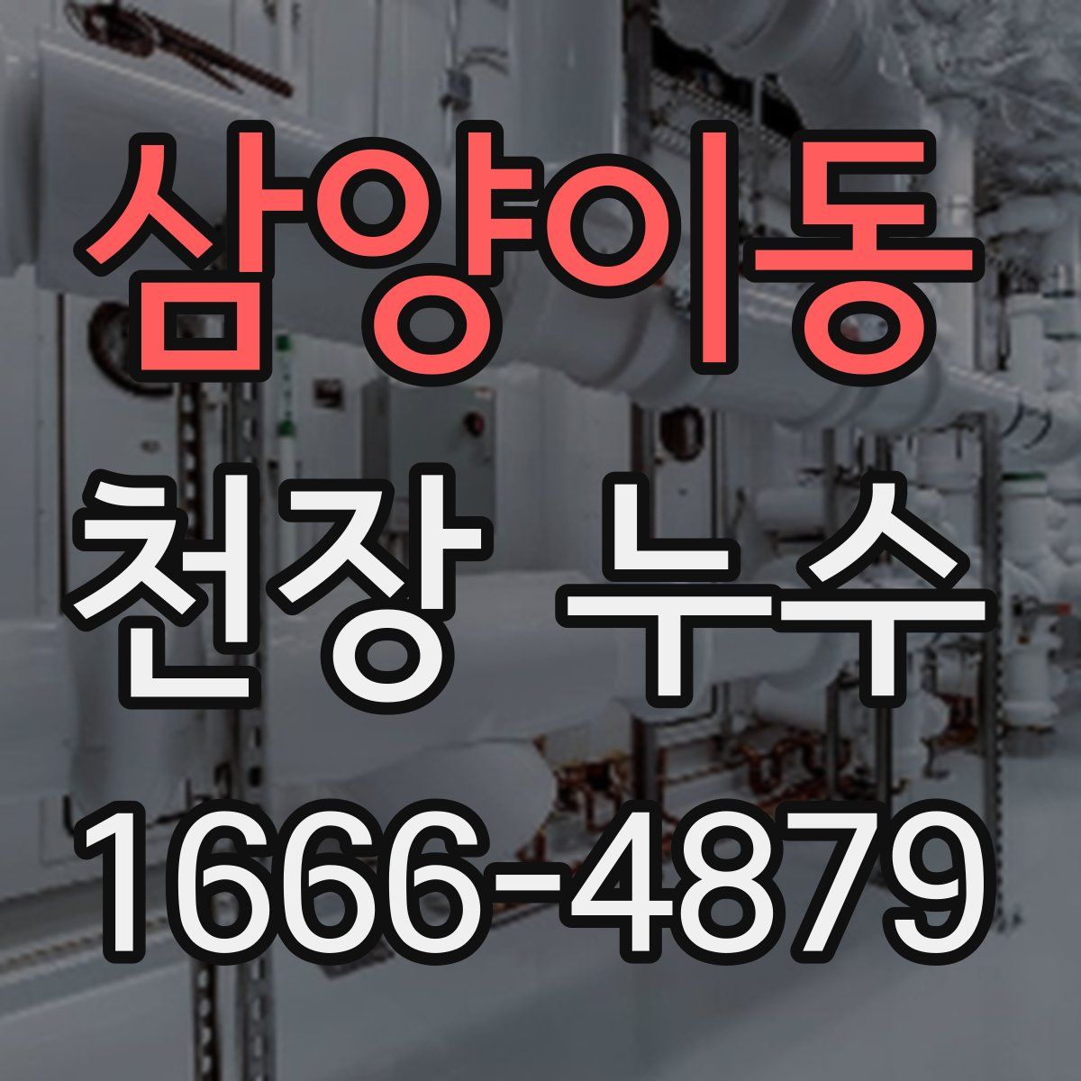 삼양이동 천장 누수