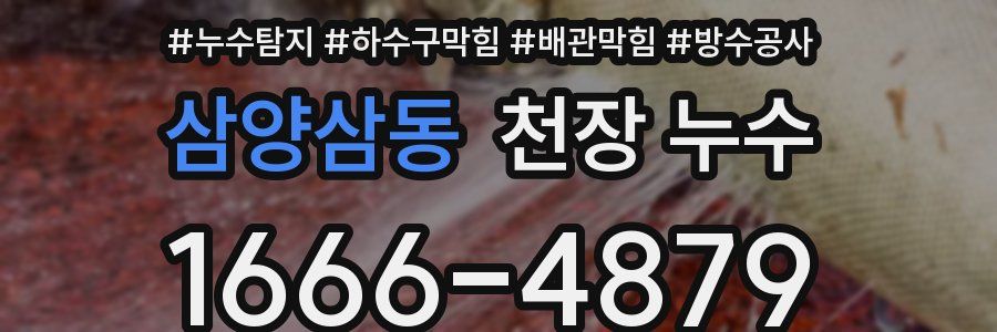 삼양삼동 천장 누수