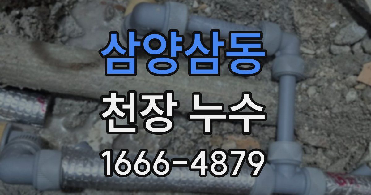 삼양삼동 천장 누수