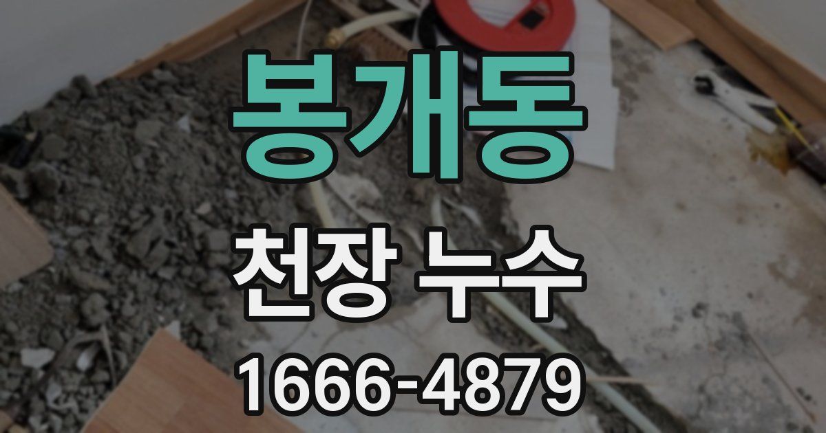 봉개동 천장 누수