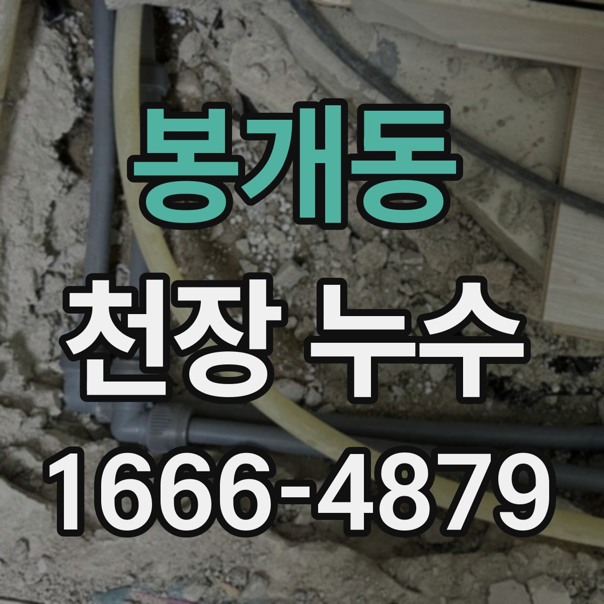 봉개동 천장 누수