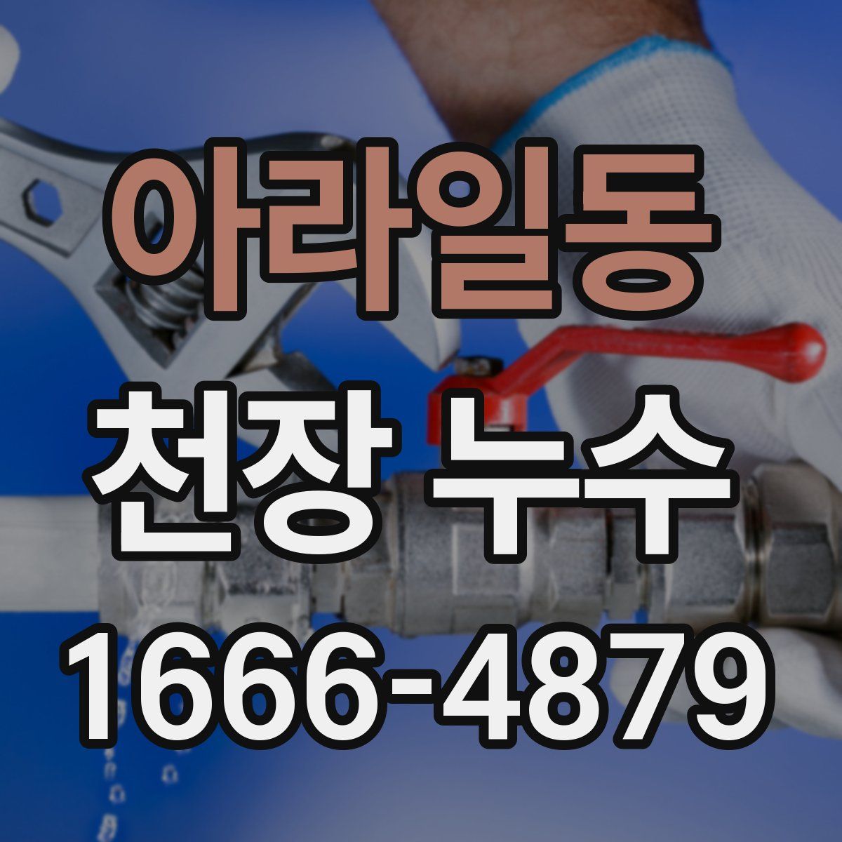 아라일동 천장 누수