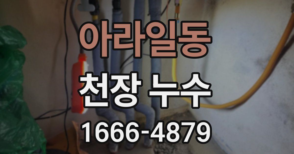 아라일동 천장 누수