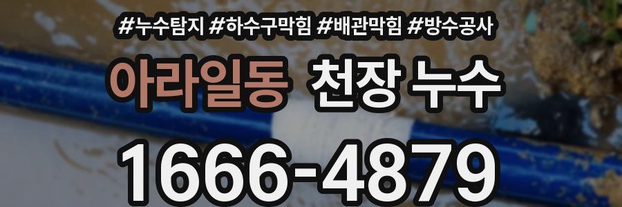 아라일동 천장 누수