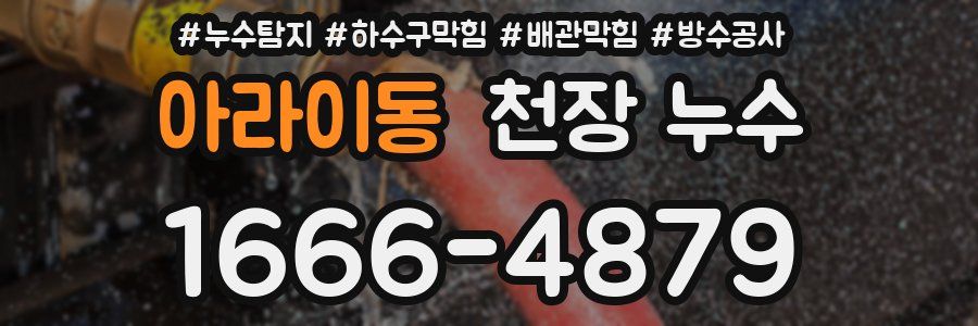 아라이동 천장 누수
