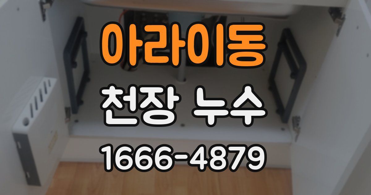 아라이동 천장 누수