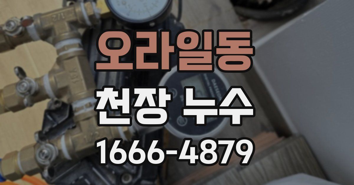 오라일동 천장 누수