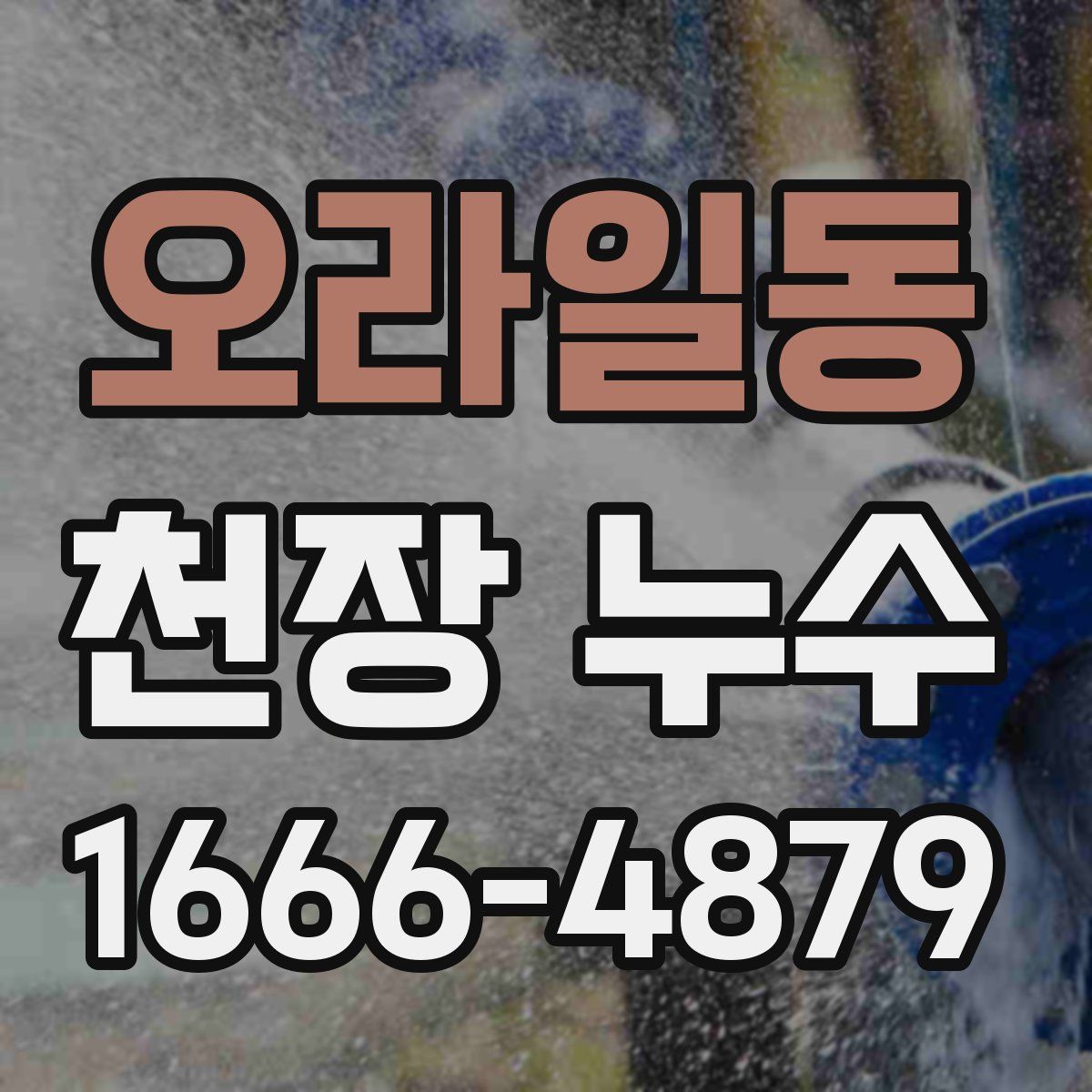 오라일동 천장 누수
