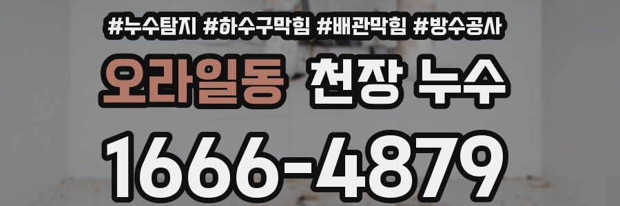 오라일동 천장 누수