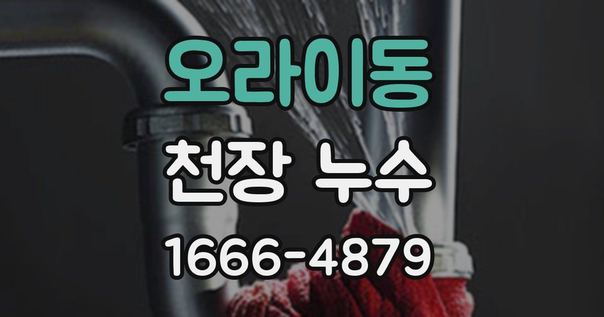 오라이동 천장 누수
