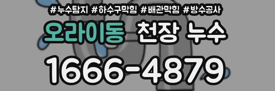 오라이동 천장 누수