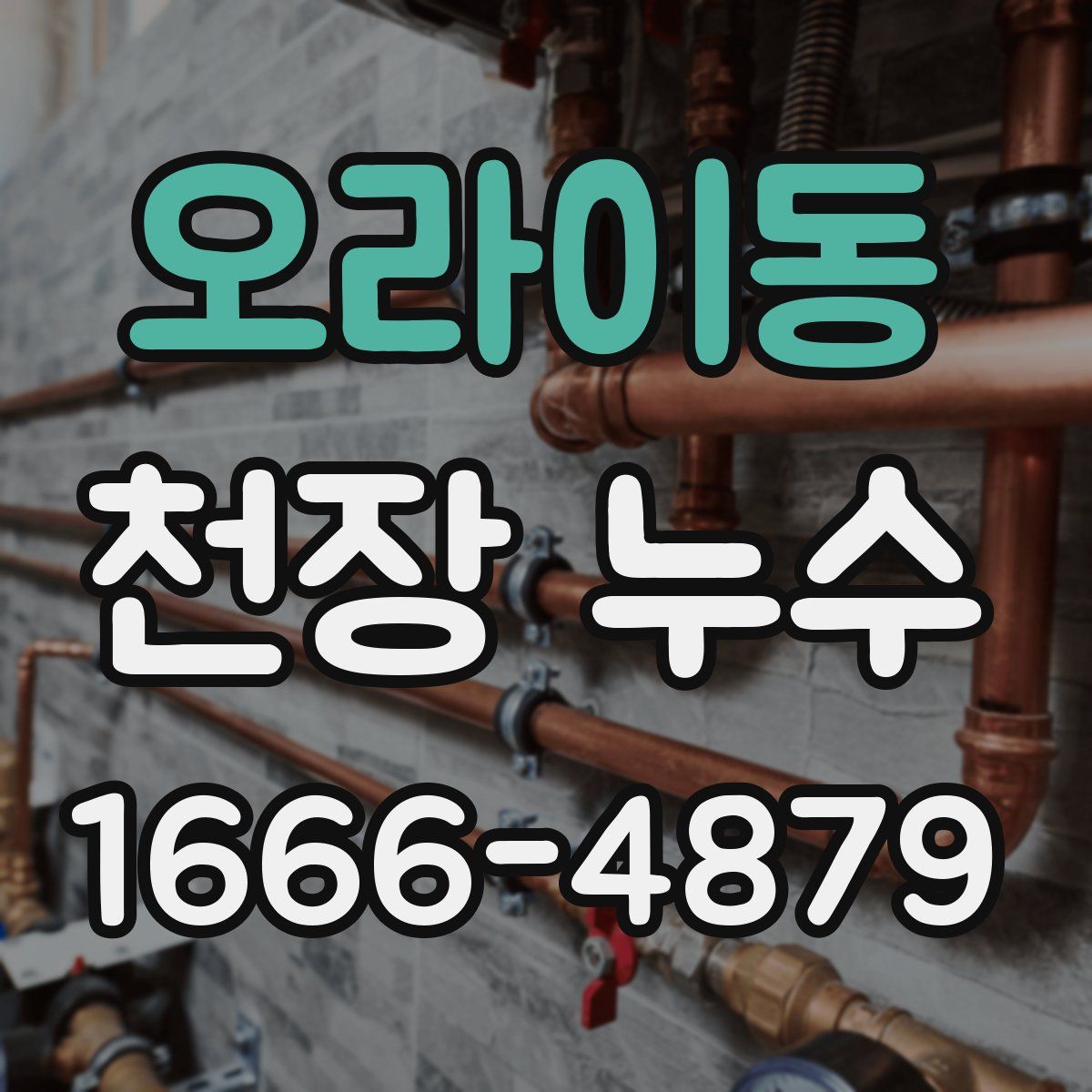 오라이동 천장 누수