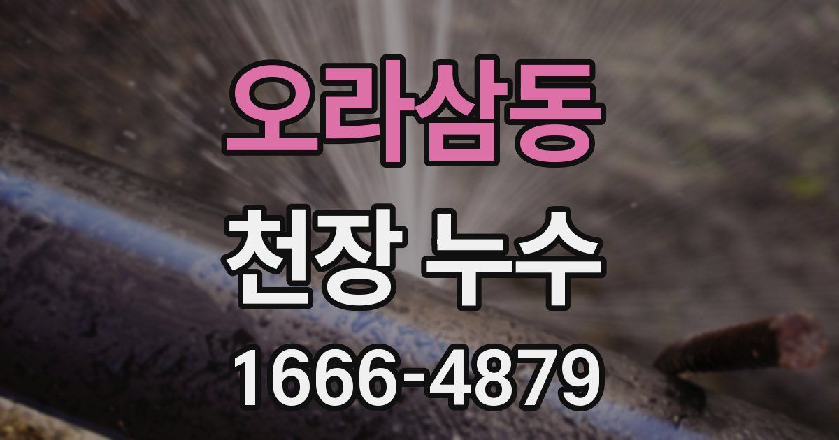 오라삼동 천장 누수
