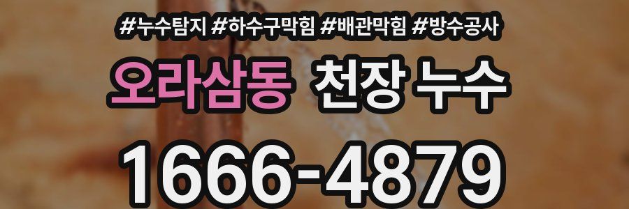 오라삼동 천장 누수