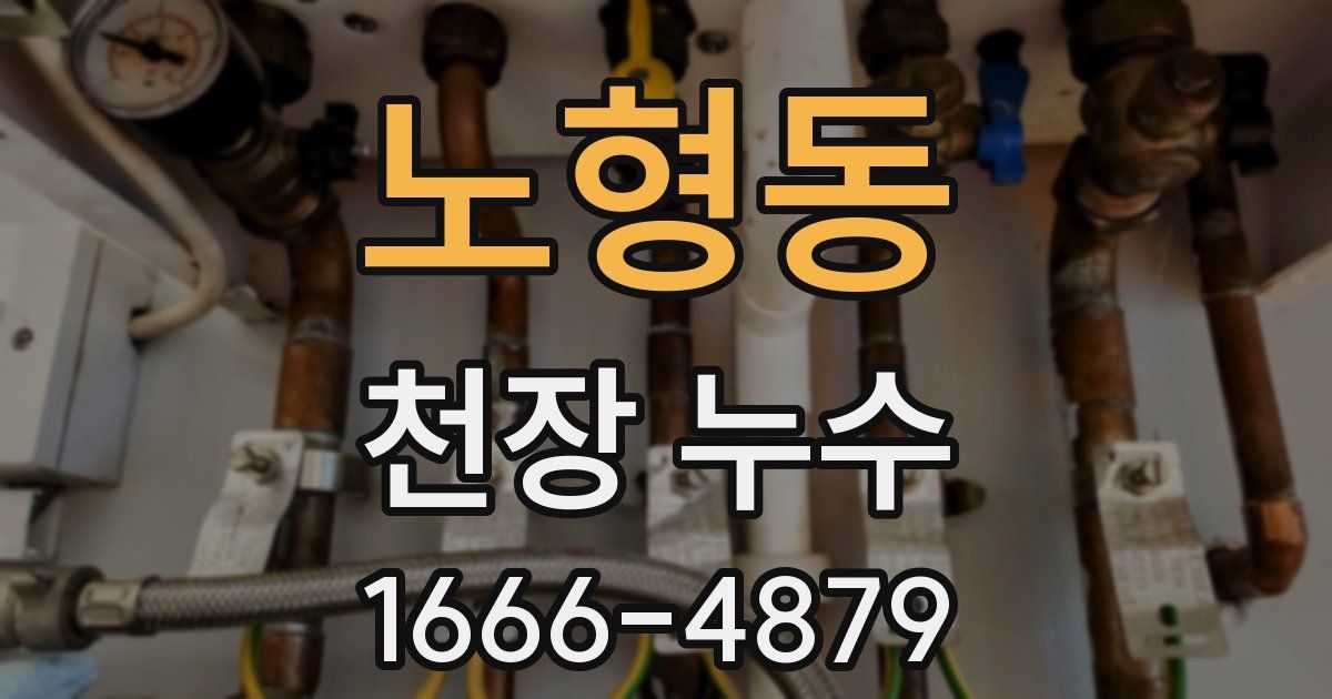 노형동 천장 누수
